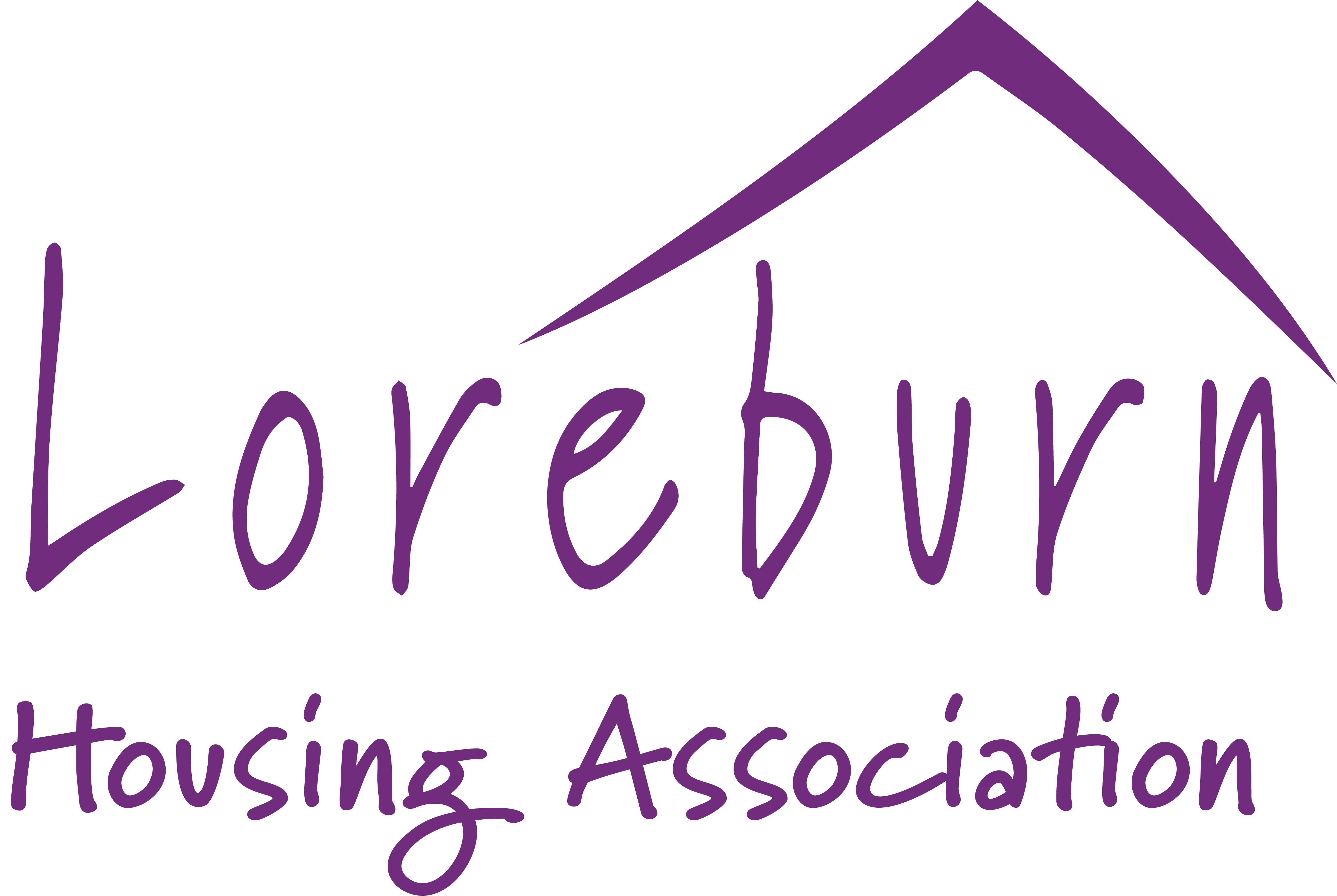 Loreburn Housing Group Sustainability for Housing